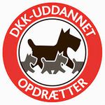 Medlem af DKK og Klubben for små selskabshunde